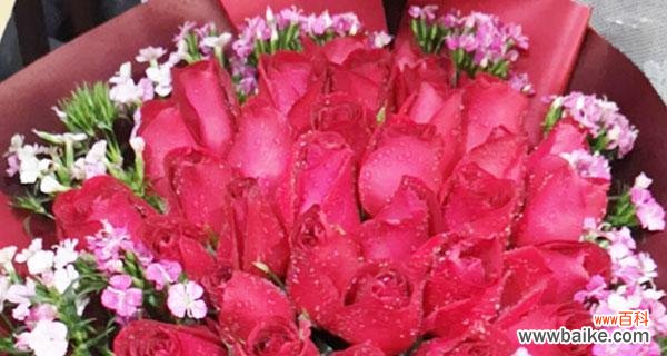 传递爱与美的十一朵玫瑰 十一朵玫瑰的花语