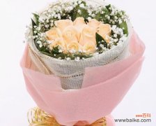 用花语传递情感的美妙魅力 十一朵香槟玫瑰的花语及意义