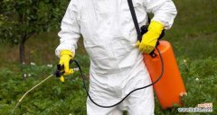 喷撒农药时的提示语有何重要性？如何正确使用？