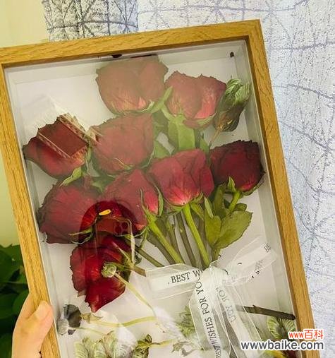 冻干玫瑰花的制作过程是怎样的？它有何特别之处？