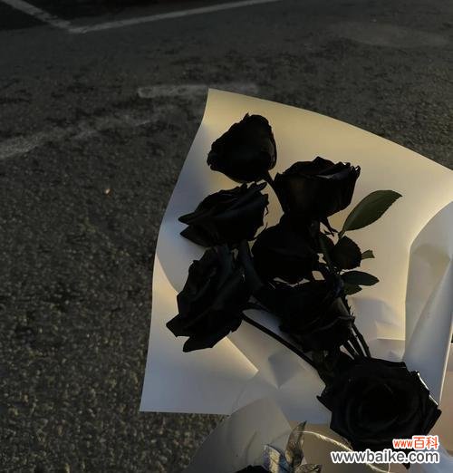 黑玫瑰通常表达什么样的情感或信息？