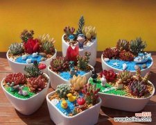 组合盆栽的辅材是什么意思？辅材在组合盆栽中有何作用？