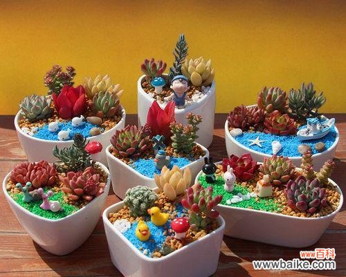 组合盆栽的辅材是什么意思？辅材在组合盆栽中有何作用？