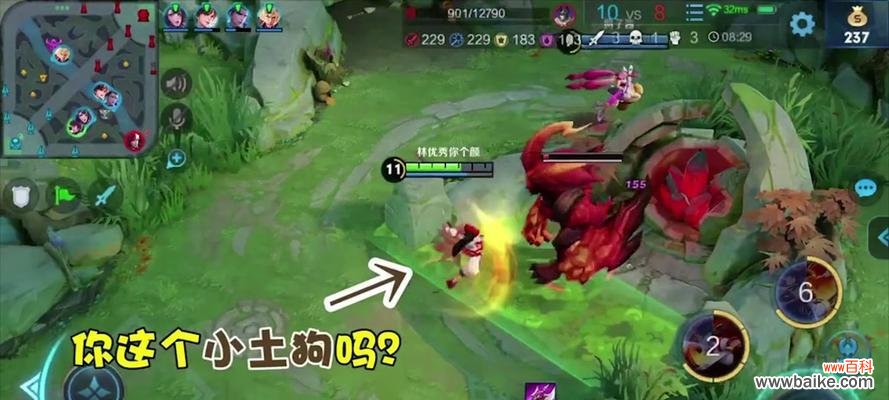 王者农药技能的含义是什么？如何猜出技能？