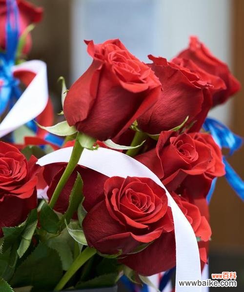 男闺蜜送玫瑰花应该选哪种？有什么特别含义吗？