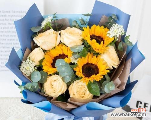 男性送玫瑰花给情侣代表什么？它表达了哪种情感？