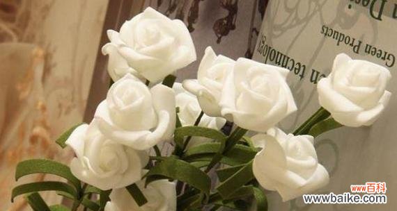 七朵白玫瑰的花语是什么?