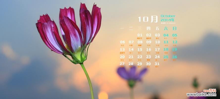 向恩师致以真挚情感的鲜花,让花语传递我们的谢意和祝福 送给老师的花及花语