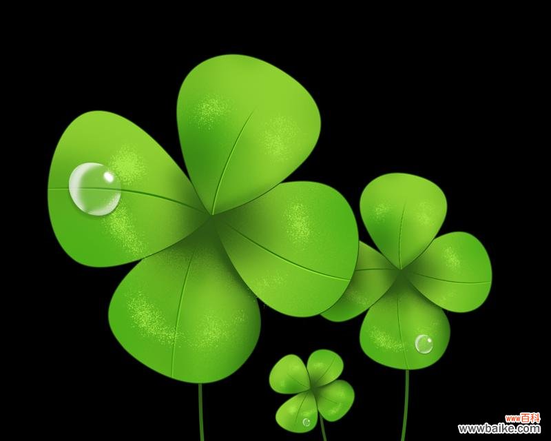 探索四叶草背后的吉祥和幸运 四叶草的寓意和象征