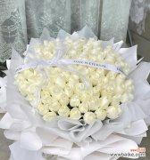 小学生的白玫瑰有何含义？它的寓意是什么？