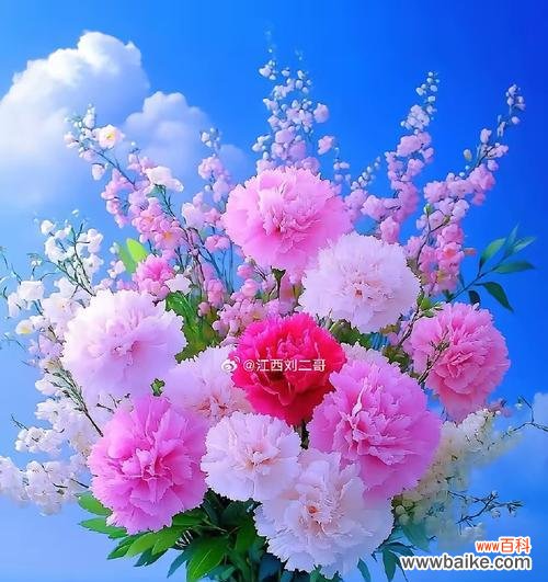 瓶花的寓意是什么？瓶花在不同文化中的意义有何不同？