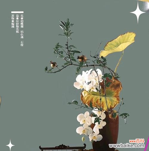 瓶花的寓意是什么？瓶花在不同文化中的意义有何不同？