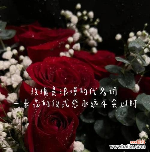 腐烂玫瑰花的花语有何深意?