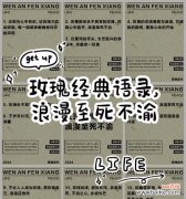 腐烂玫瑰花的花语有何深意？