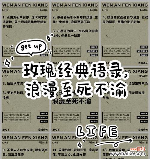 腐烂玫瑰花的花语有何深意?