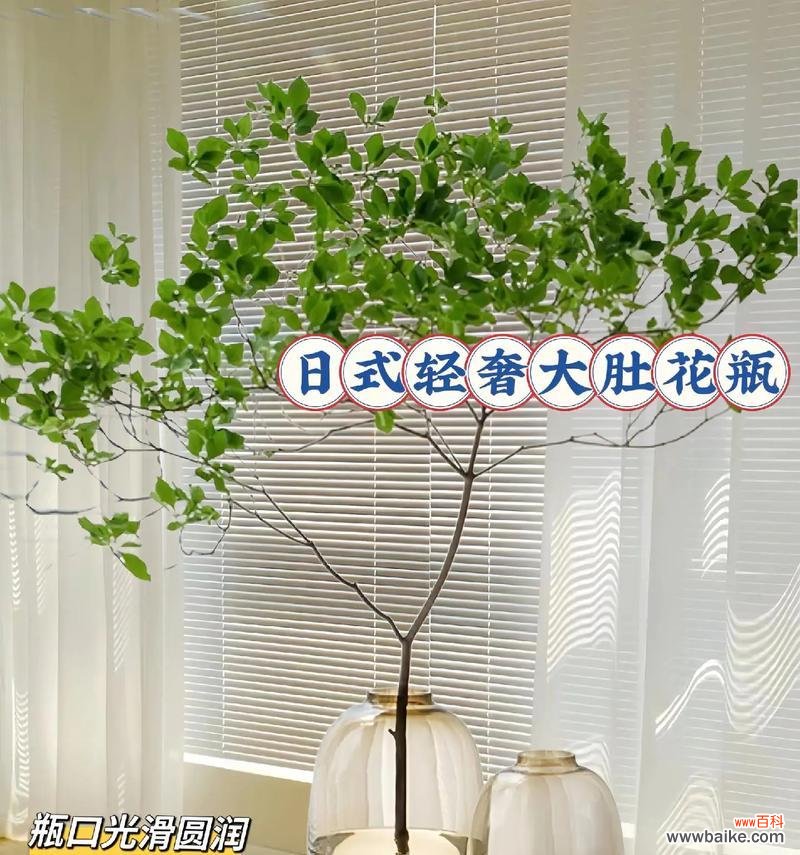 乔迁时选择花瓶有什么讲究？哪种寓意的花瓶适合新家？