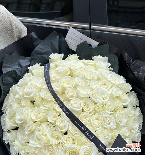 白玫瑰99朵的特殊含义是什么？