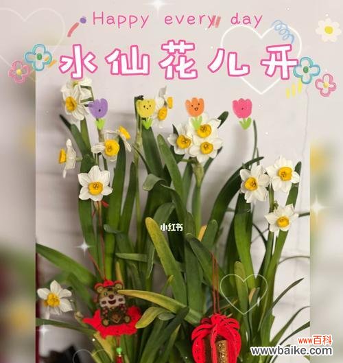 美丽与纯洁的象征——水仙花 水仙花的寓意与象征意义