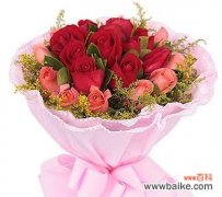 探寻11朵玫瑰赋予的美好寓意 11朵玫瑰的寓意与象征意义