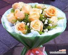 传递爱意和祝福的花语之花——香槟玫瑰 11朵香槟玫瑰的寓意与象征