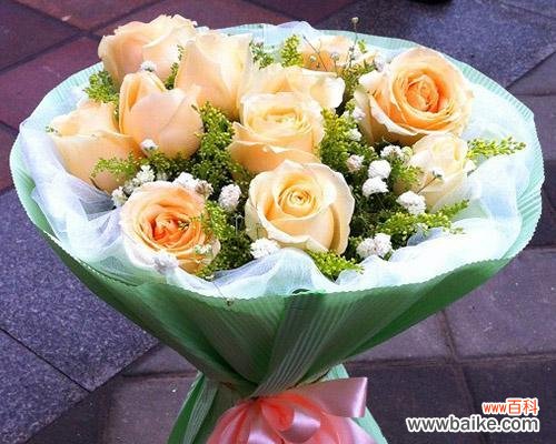 传递爱意和祝福的花语之花——香槟玫瑰 11朵香槟玫瑰的寓意与象征