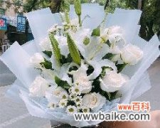 六到八朵白玫瑰传递了什么信息？