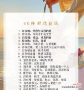 哪种花的花语代表热情？热情的花语有哪些？