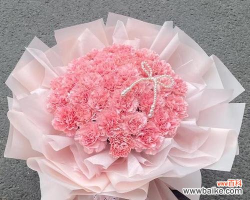 粉色康乃馨象征着什么？送粉色康乃馨的意义何在？