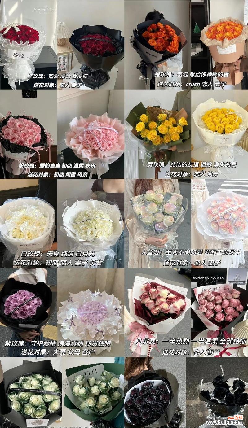 老人送大玫瑰花有何寓意?大玫瑰花在传统中象征着什么?