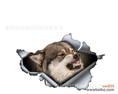 狼头咬玫瑰花在艺术或文化中有什么象征意义？