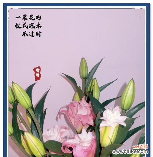 百合花的花语有哪些?
