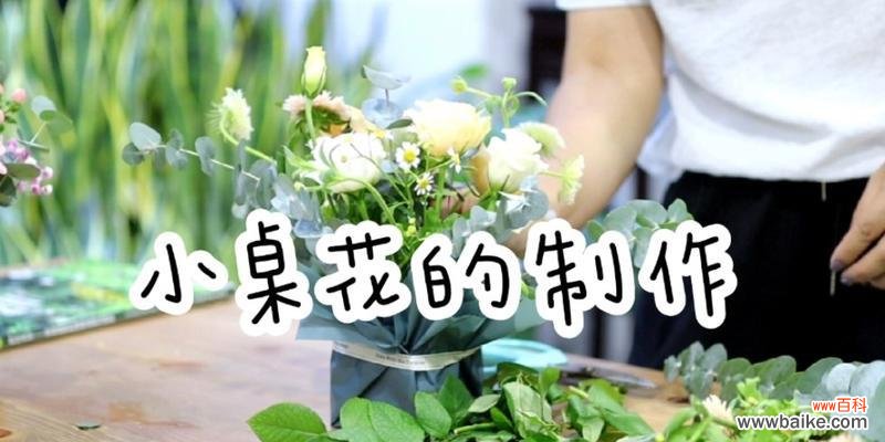 雏菊和桔梗的花语有何不同？它们的区别在哪里？