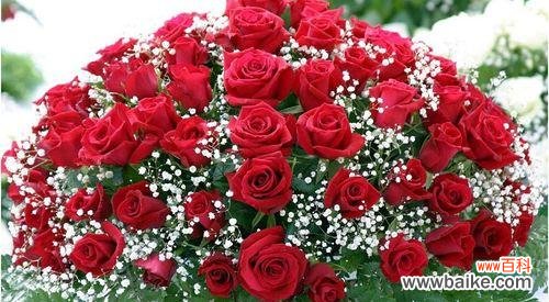 解读花束中的情感与祝福 花语与送花几朵的意义