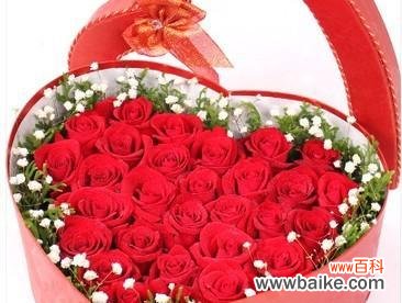 红玫瑰 红玫瑰的寓意及象征意义