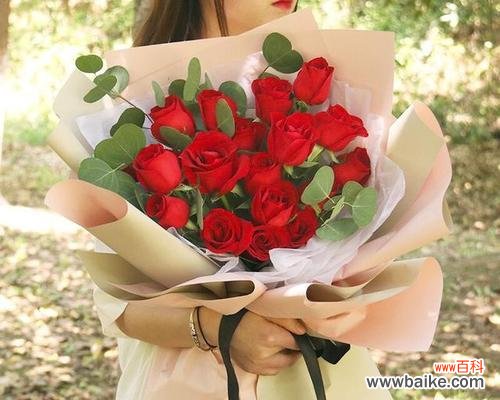 红玫瑰 红玫瑰的寓意及象征意义
