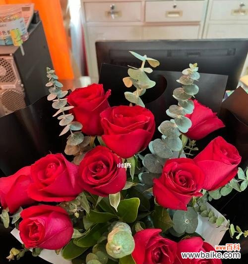 送几朵玫瑰花的含义及其传达的情感 玫瑰花的寓意与象征