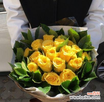 探寻黄玫瑰背后的情感与情境 黄玫瑰的花语与象征意义