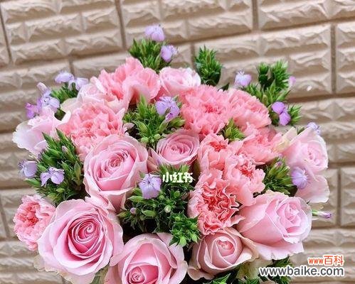 送康乃馨，传递爱与感激之情 康乃馨的含义——真爱永恒的象征