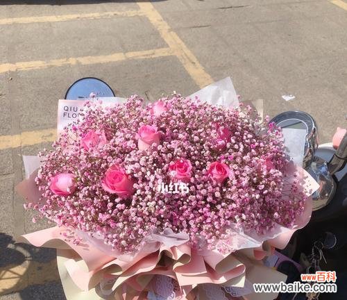 以送满天星表达的情感与祝福 满天星的象征意义与寓意