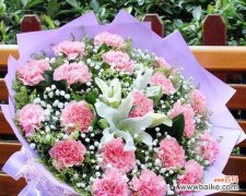 一束康乃馨，表达学生心声，敬爱有加 康乃馨花语与寓意