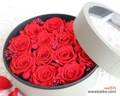 揭秘送玫瑰的深意,让爱与关怀传递不言而喻 玫瑰的花语与含义