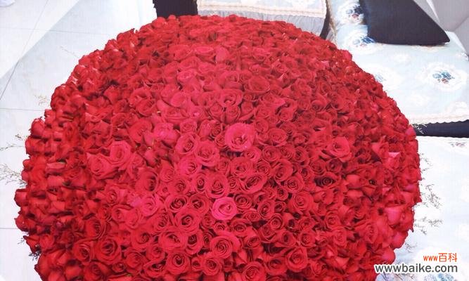 揭秘送玫瑰的深意,让爱与关怀传递不言而喻 玫瑰的花语与含义