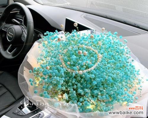 探索满天星花束背后的美好寓意 满天星花束的寓意与象征