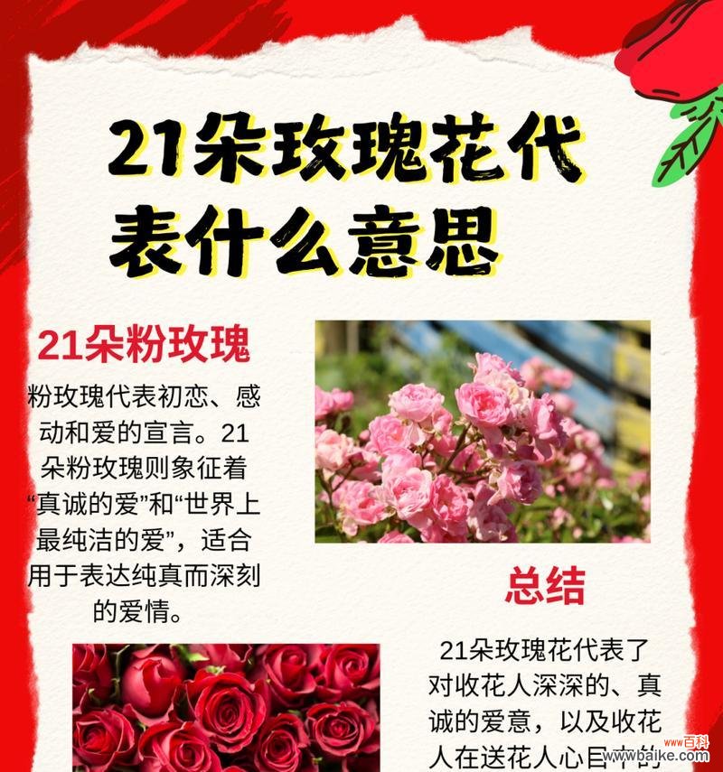 19朵带血玫瑰花的特殊含义是什么?