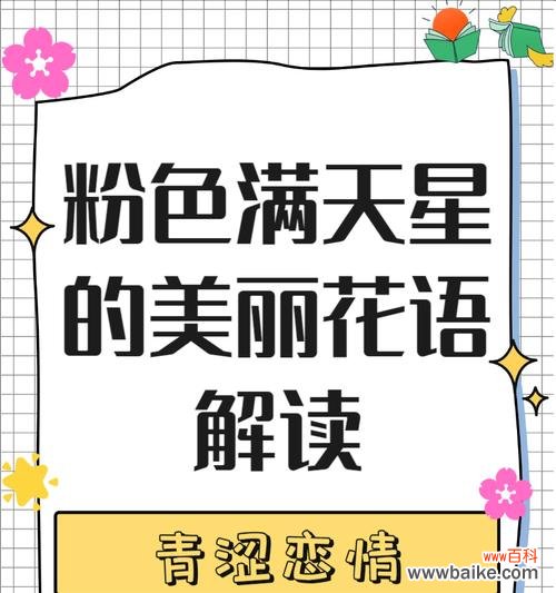 满天星的花语功效和特点是什么？