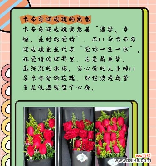 11朵香槟玫瑰代表了什么?