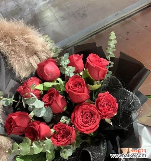 玫瑰花的意义和不同花色的解读 送玫瑰花的含义及象征