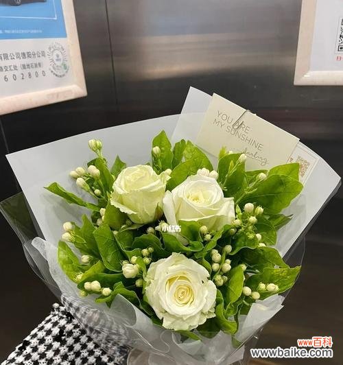 茉莉花的花语与送花文化 送茉莉花的含义与象征