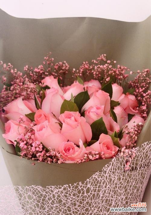 解读玫瑰花各色的象征意义 玫瑰花颜色的含义