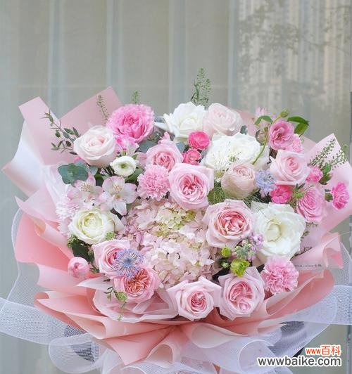 探究玫瑰花象征的不同意义 送玫瑰花的含义